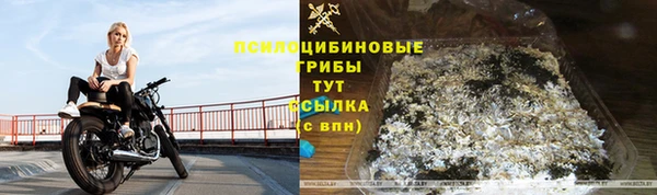 стаф Алексеевка