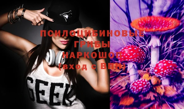 круглые Алзамай